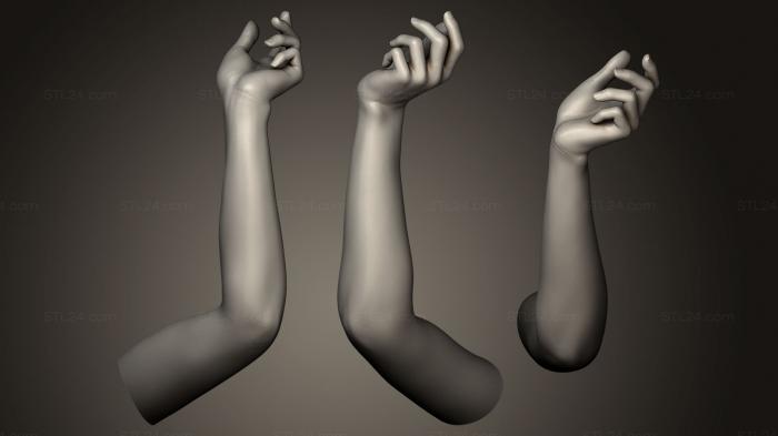 Анатомия скелеты и черепа (Поза женской Руки 5, ANTM_0071) 3D модель для ЧПУ станка